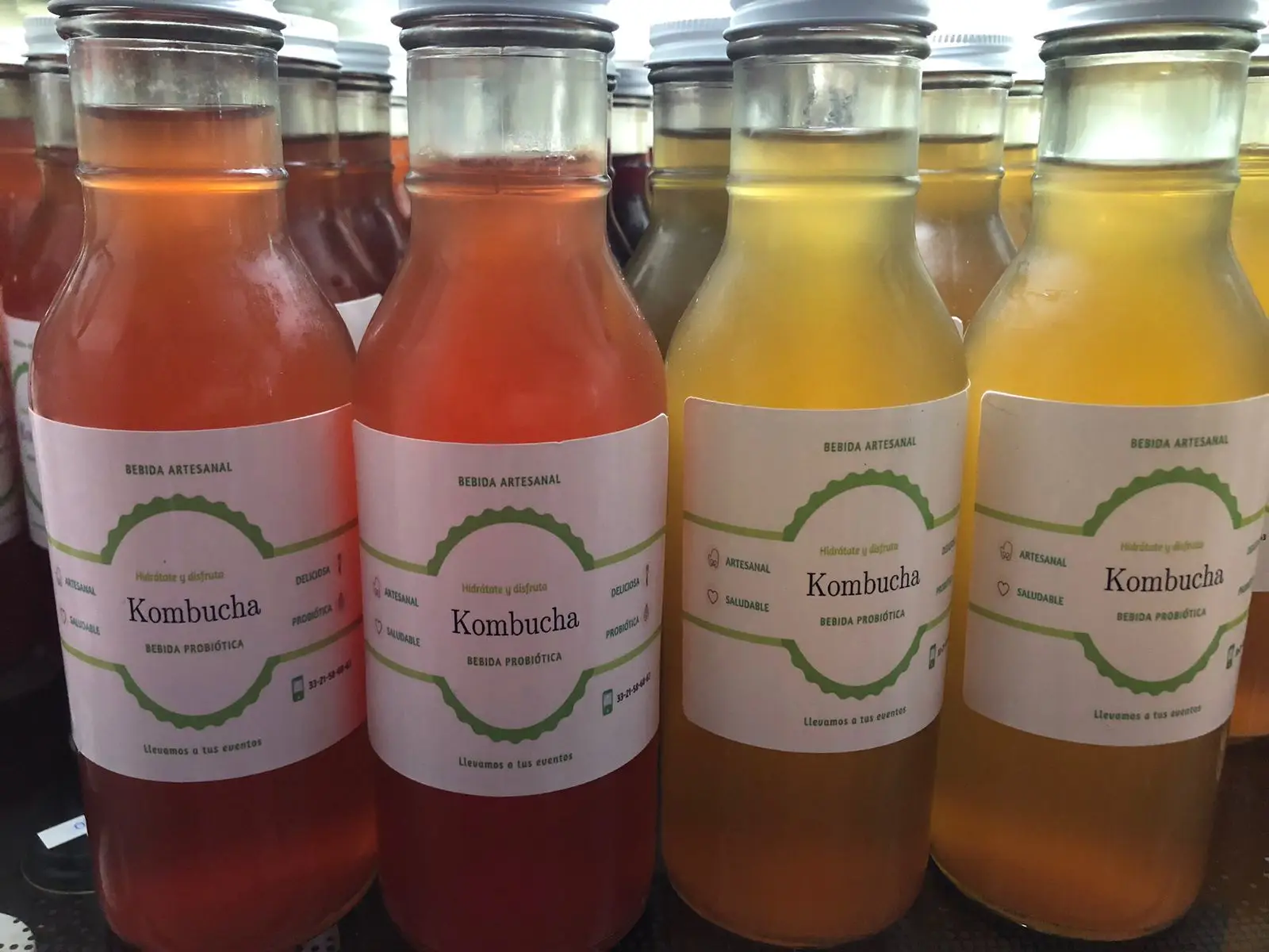 kombucha